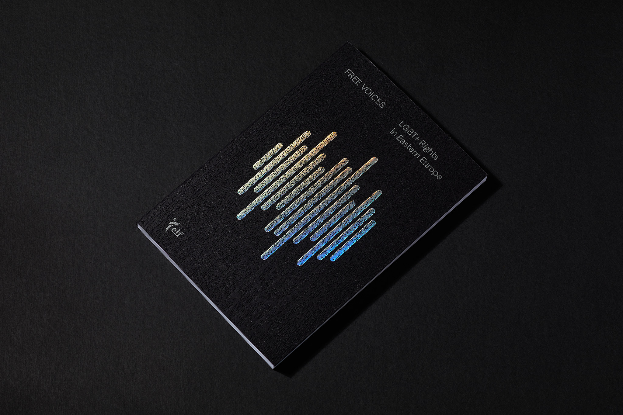 Free-voices-LGBT_Designe_Typo_MHernas_FotBBudniak__54A7390