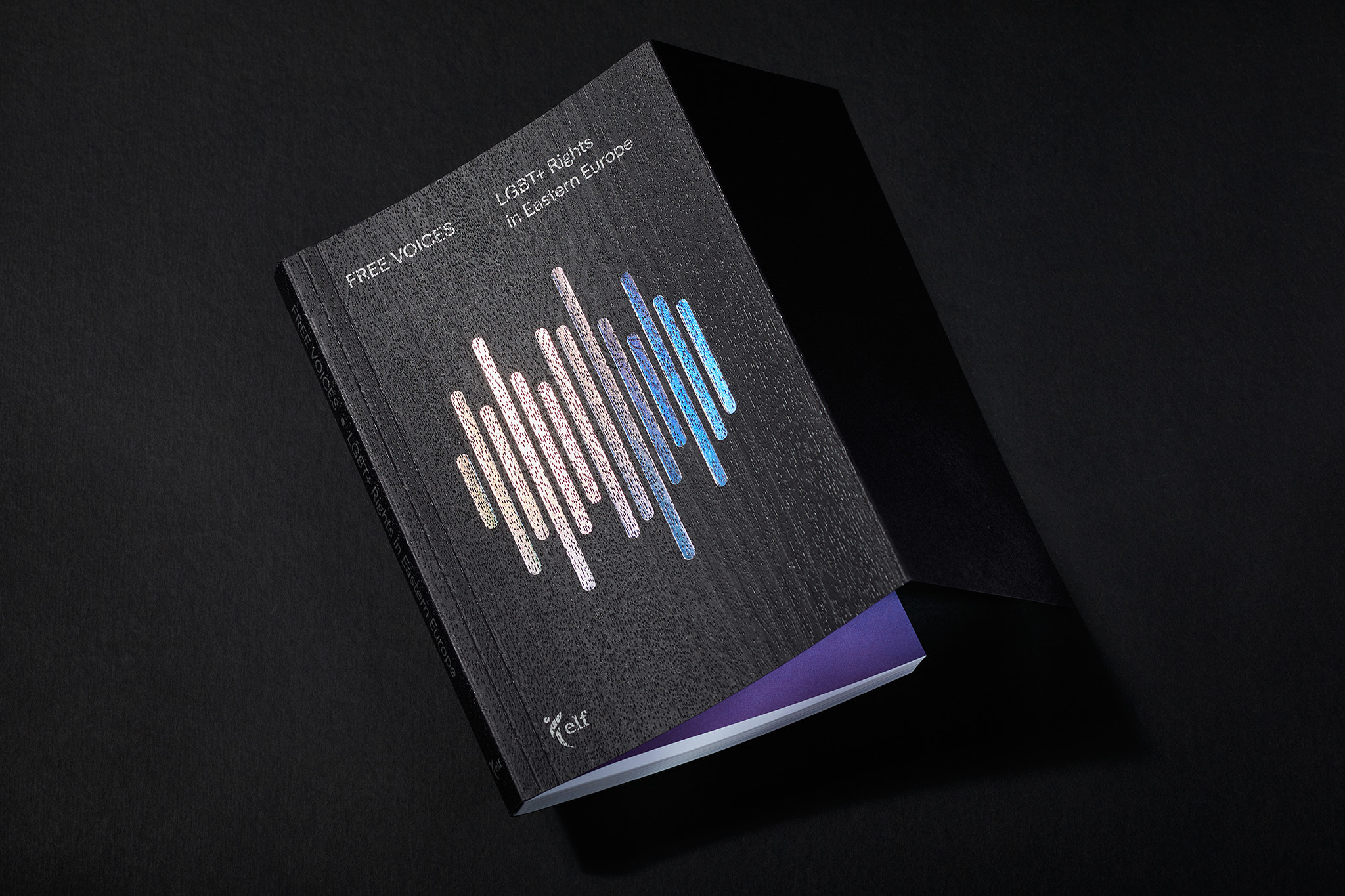 Free-voices-LGBT_Designe_Typo_MHernas_FotBBudniak__54A7396