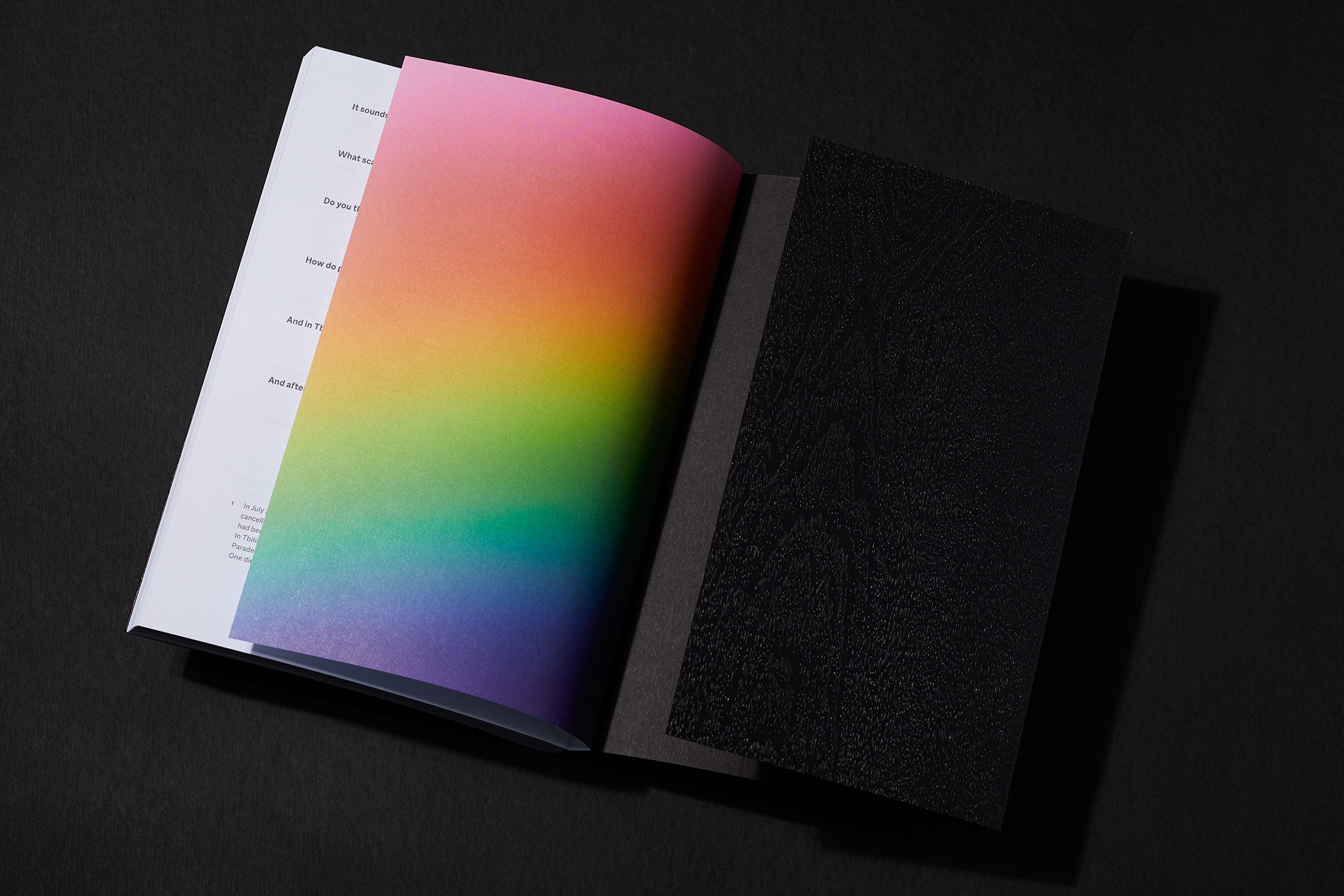 Free-voices-LGBT_Designe_Typo_MHernas_FotBBudniak__54A7398