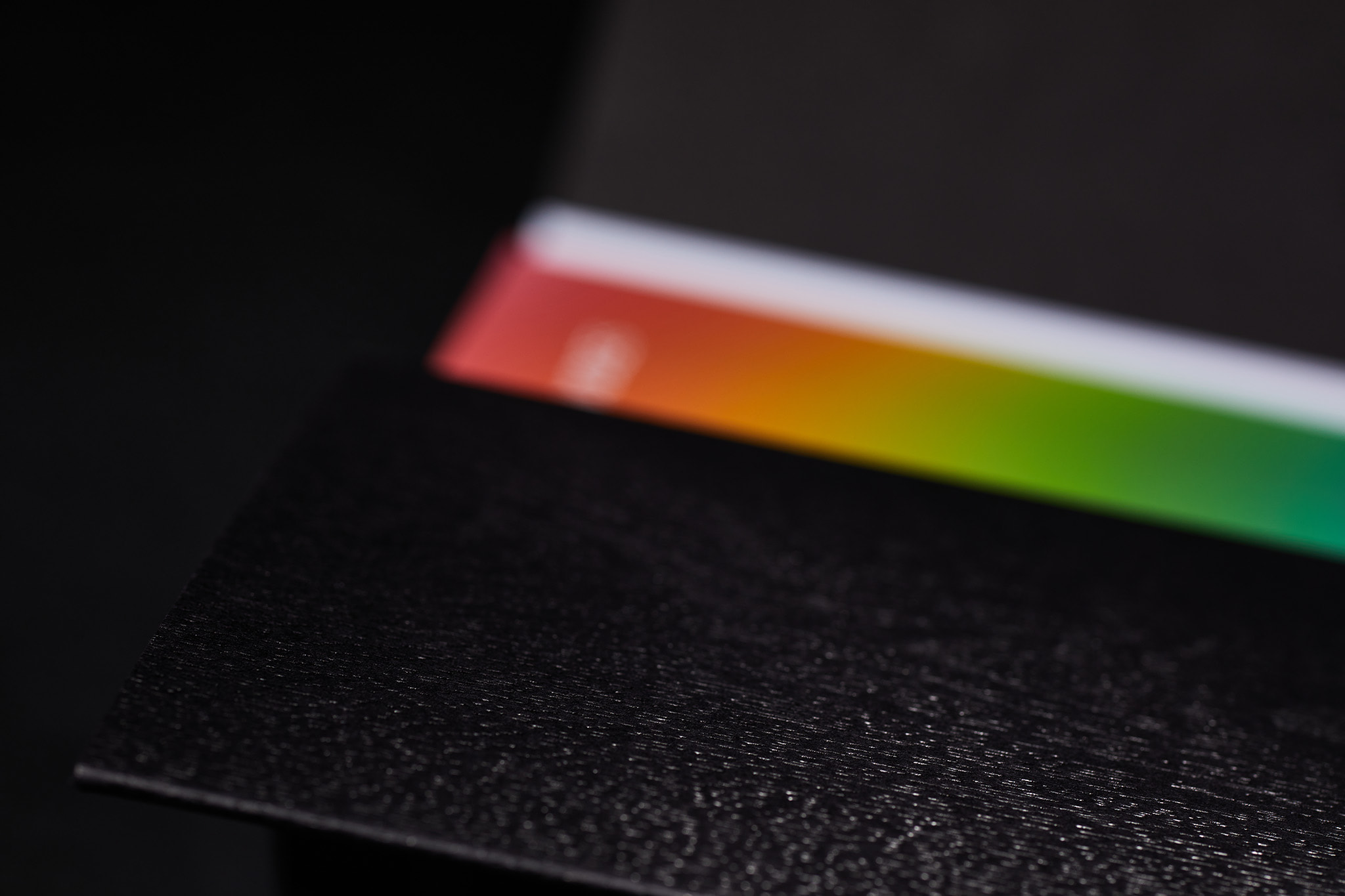 Free-voices-LGBT_Designe_Typo_MHernas_FotBBudniak__54A7413