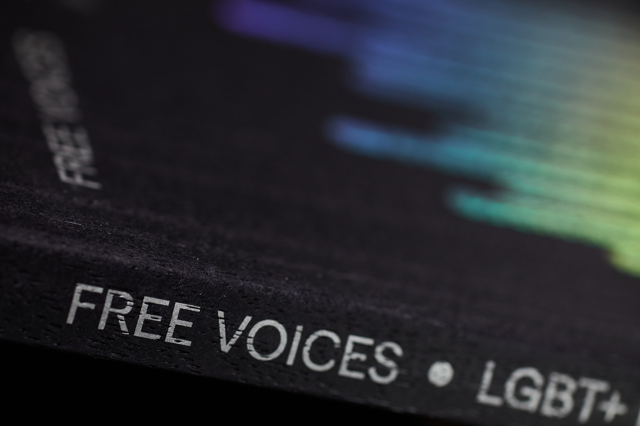 Free-voices-LGBT_Designe_Typo_MHernas_FotBBudniak__54A7426