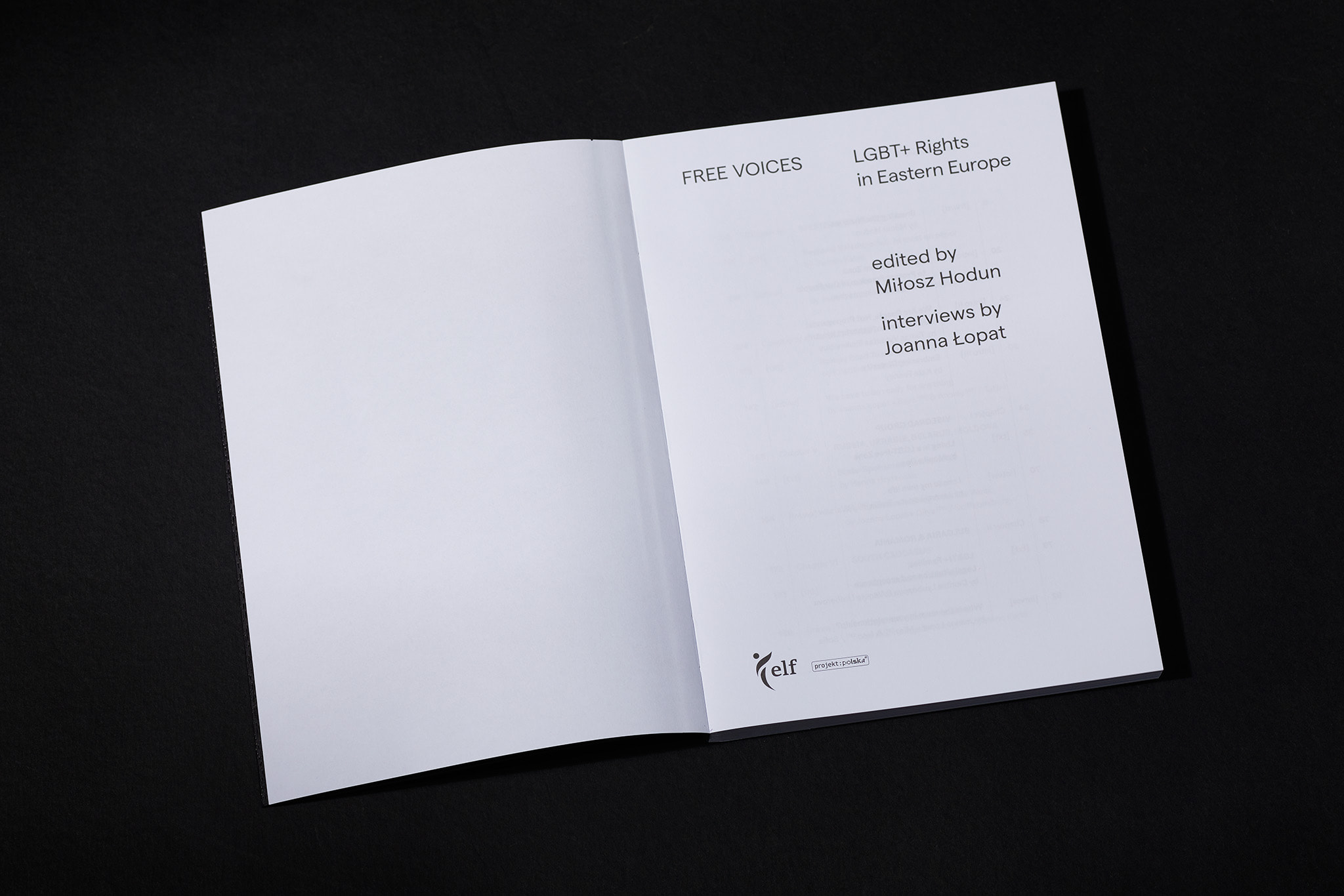 Free-voices-LGBT_Designe_Typo_MHernas_FotBBudniak__54A7432