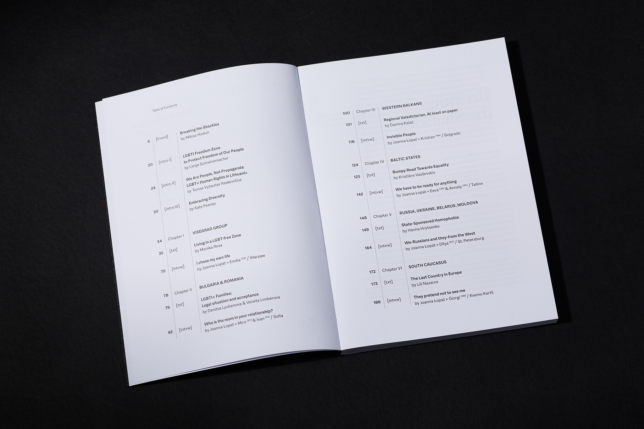 Free-voices-LGBT_Designe_Typo_MHernas_FotBBudniak__54A7433