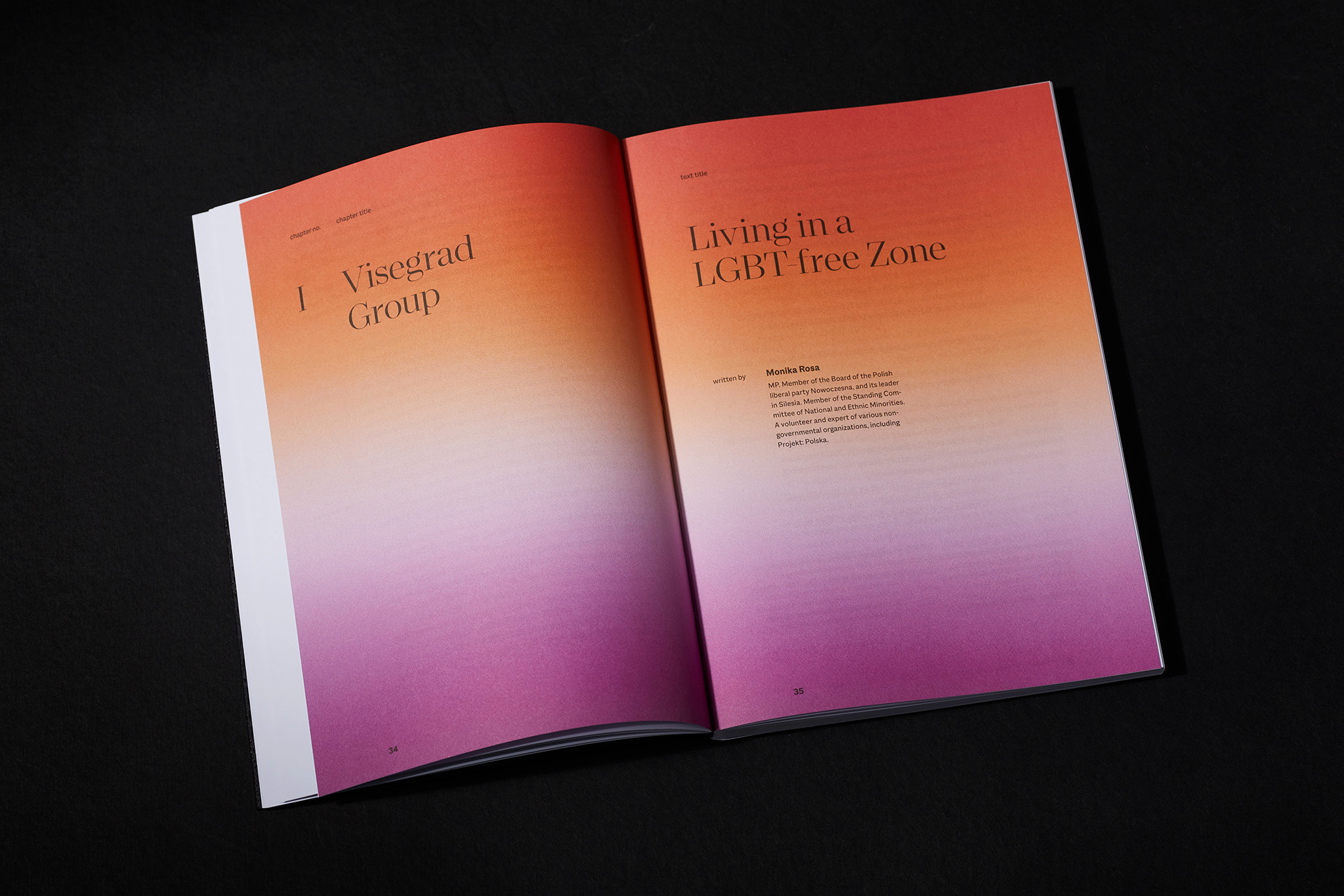 Free-voices-LGBT_Designe_Typo_MHernas_FotBBudniak__54A7435