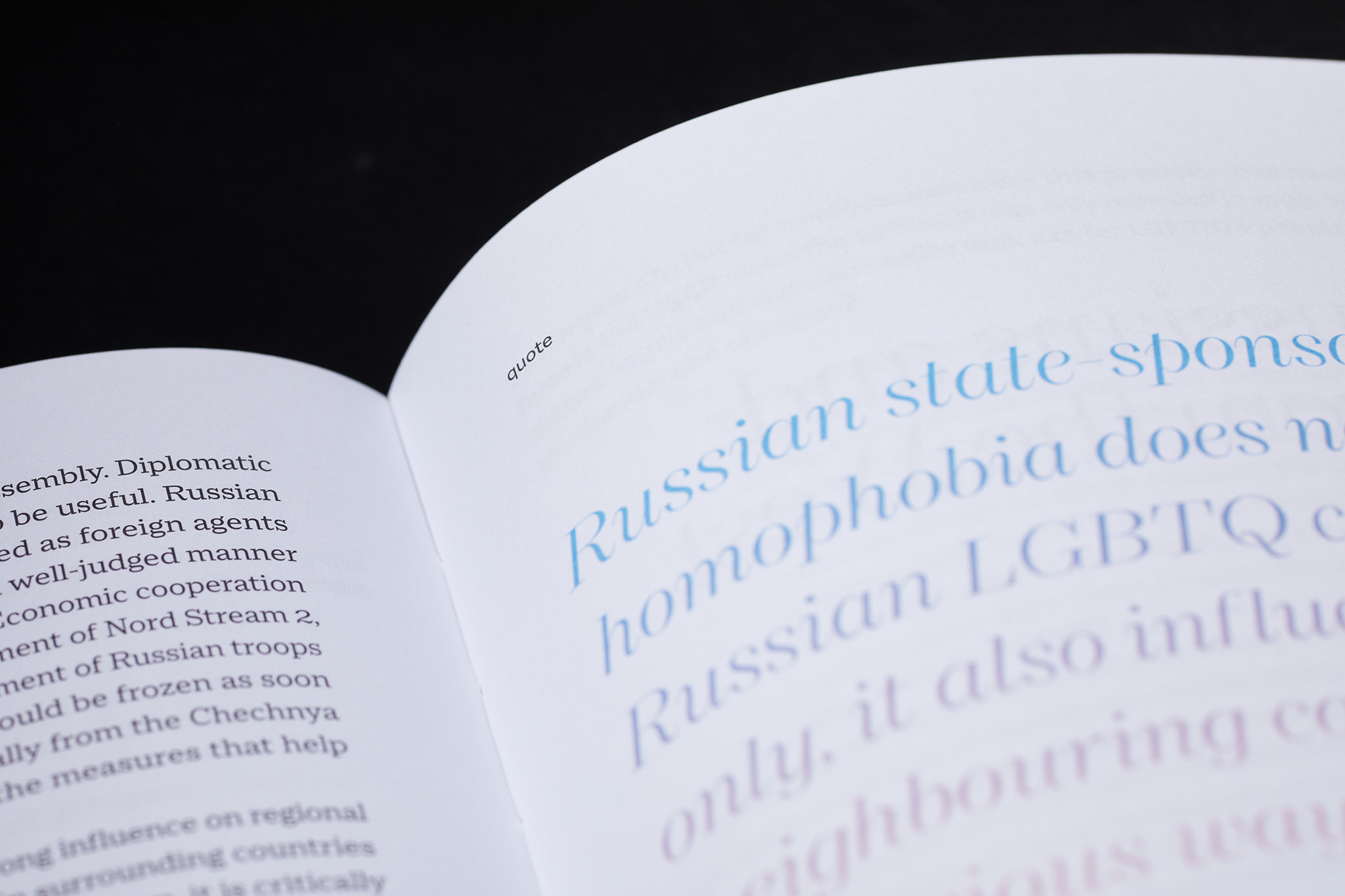 Free-voices-LGBT_Designe_Typo_MHernas_FotBBudniak__54A7453
