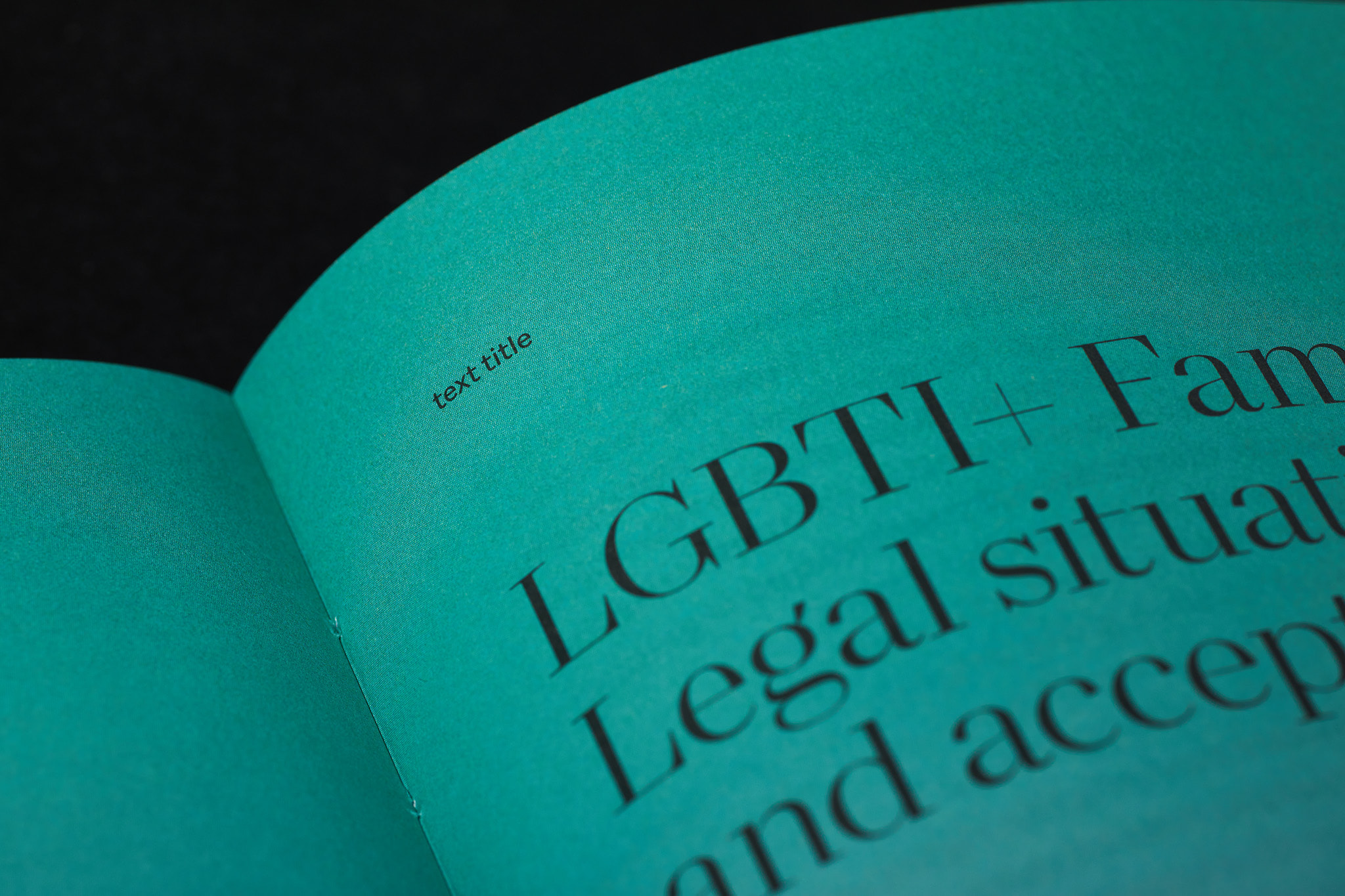 Free-voices-LGBT_Designe_Typo_MHernas_FotBBudniak__54A7459
