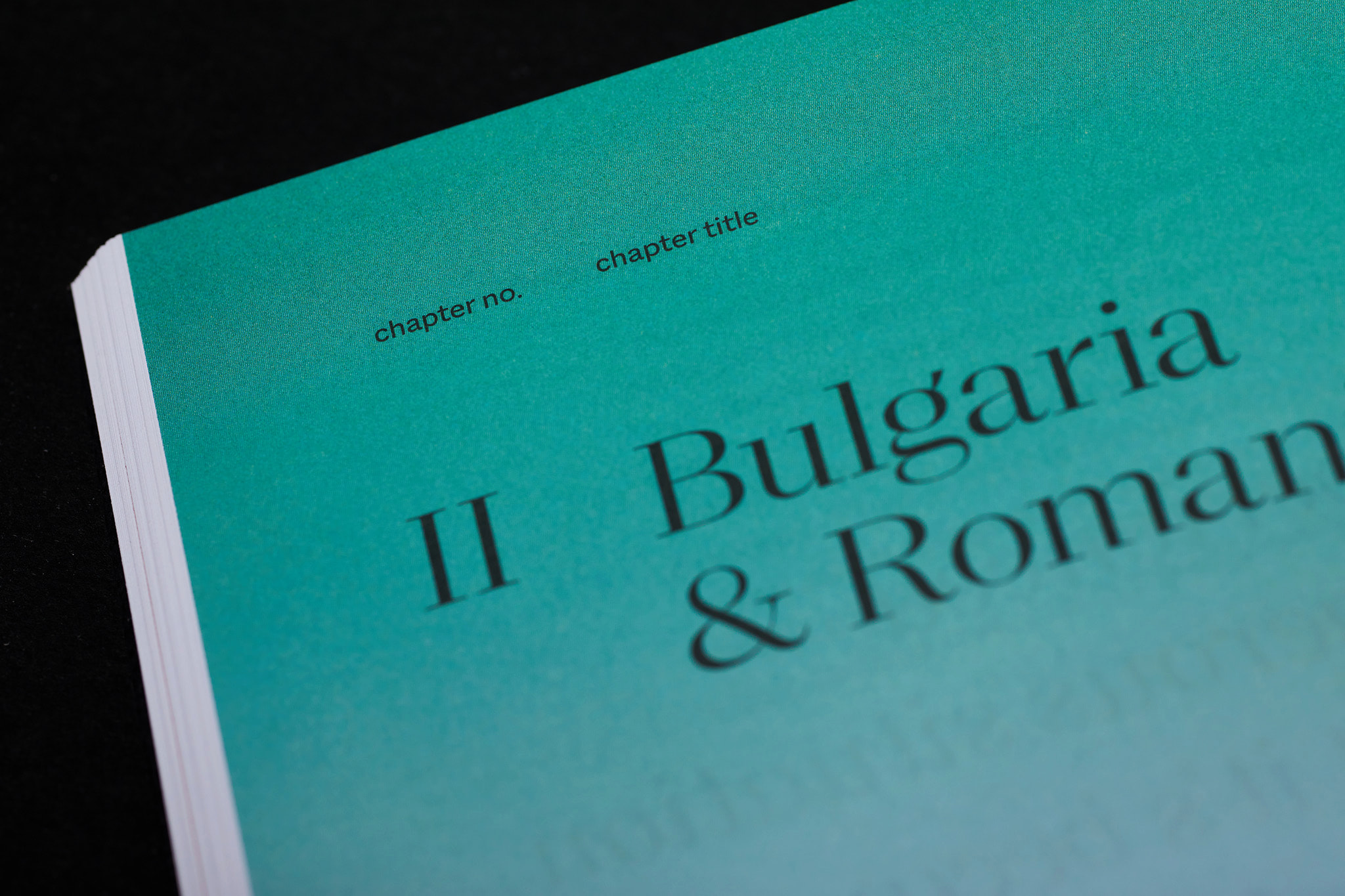 Free-voices-LGBT_Designe_Typo_MHernas_FotBBudniak__54A7460