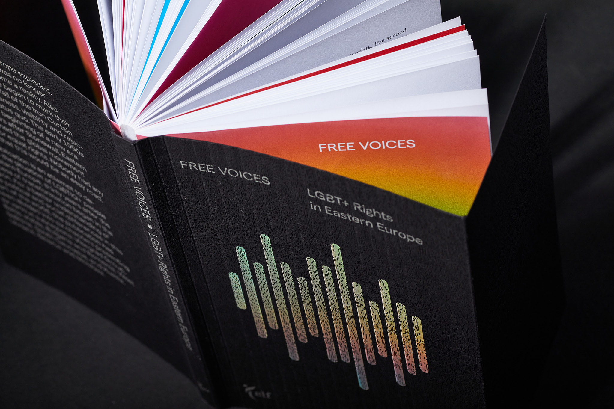 Free-voices-LGBT_Designe_Typo_MHernas_FotBBudniak__54A7485