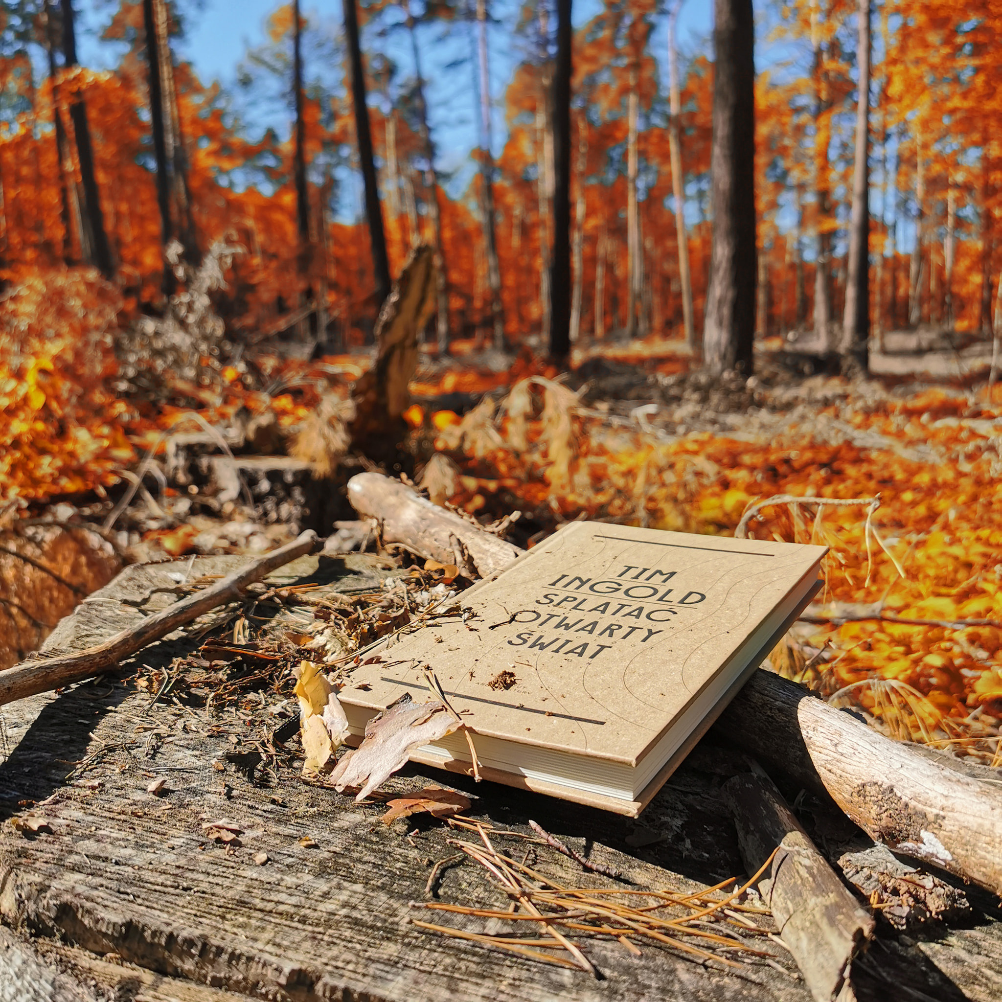 IMG_20190922_122352edit