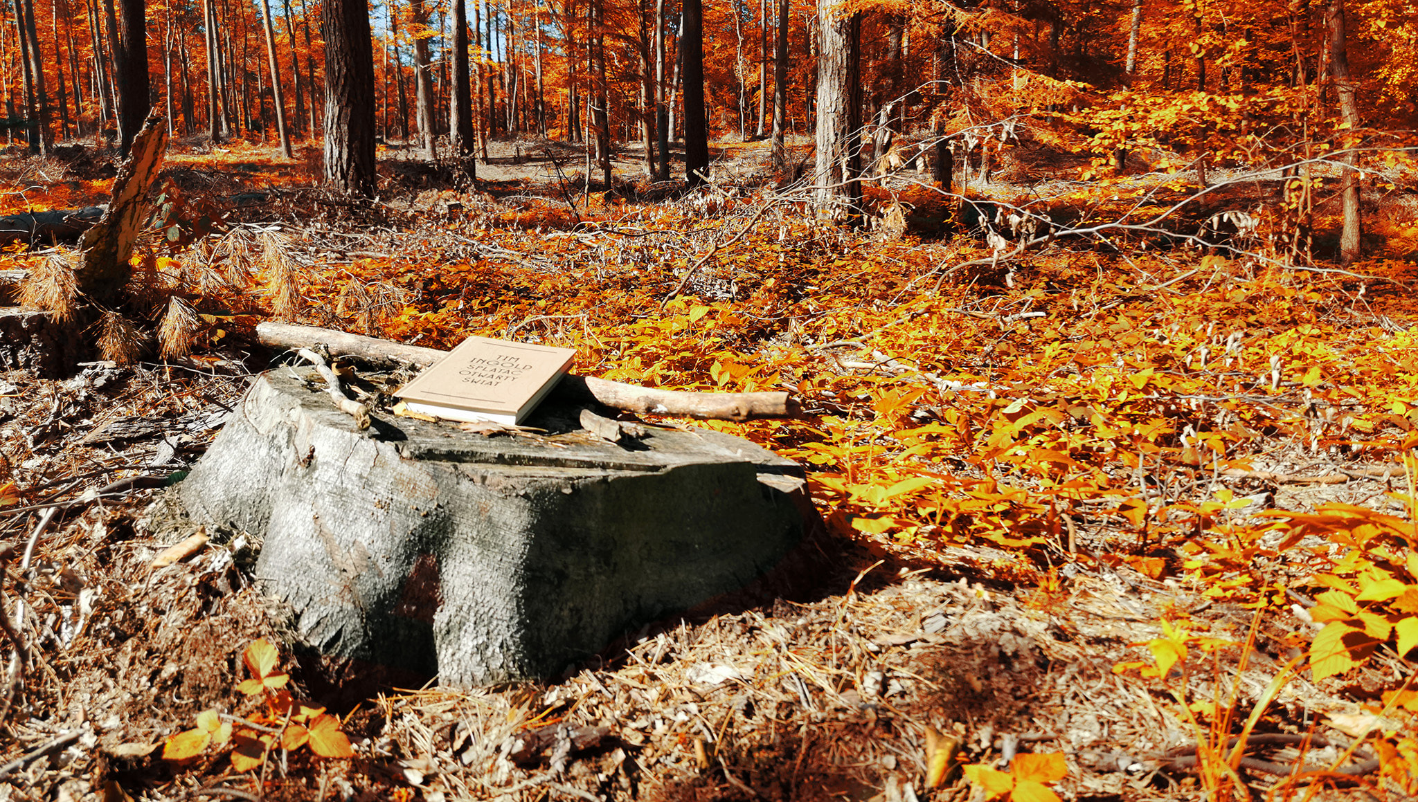 IMG_20190922_122509c