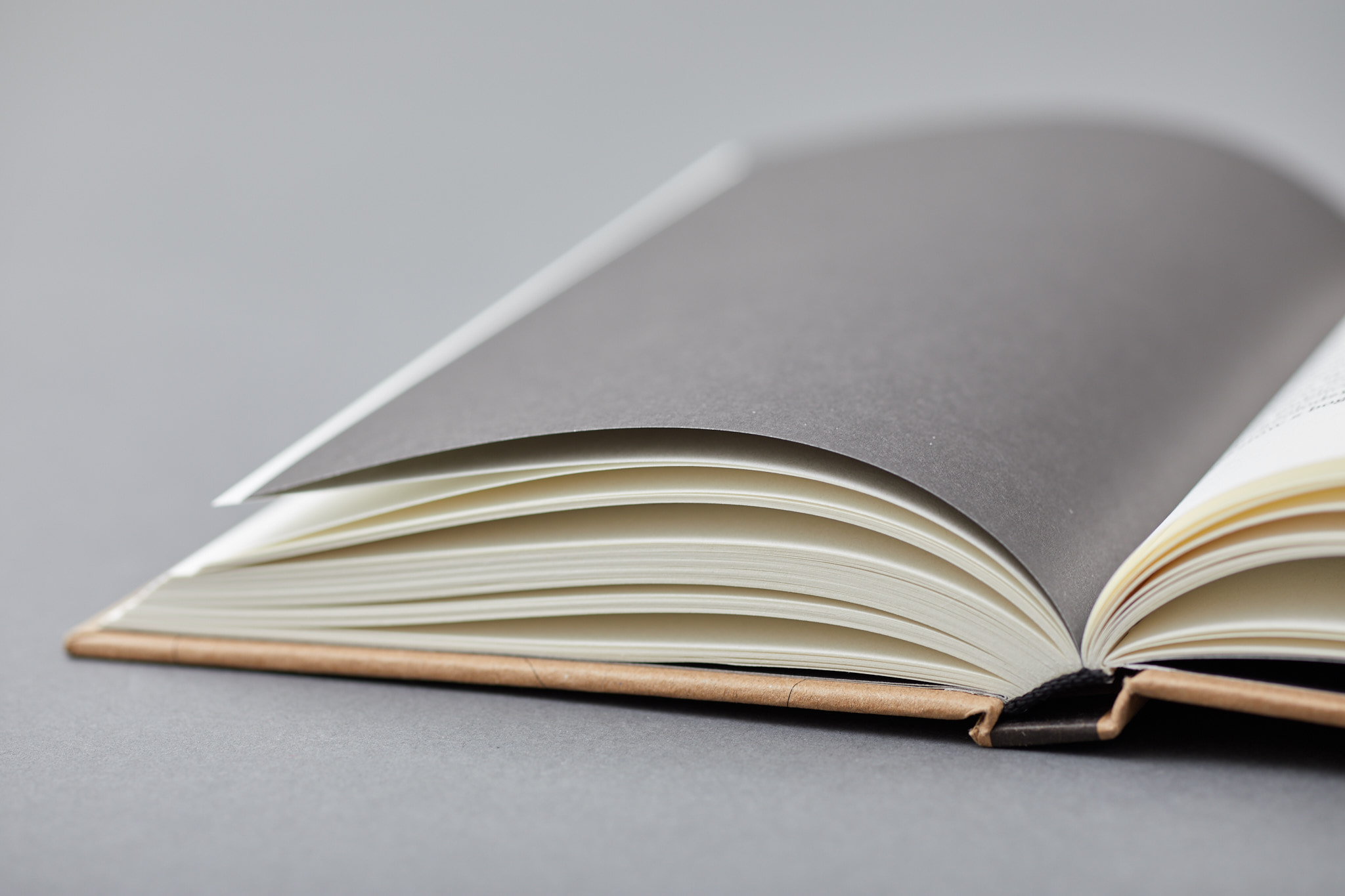 Ingold_BaBu_M__54A3500