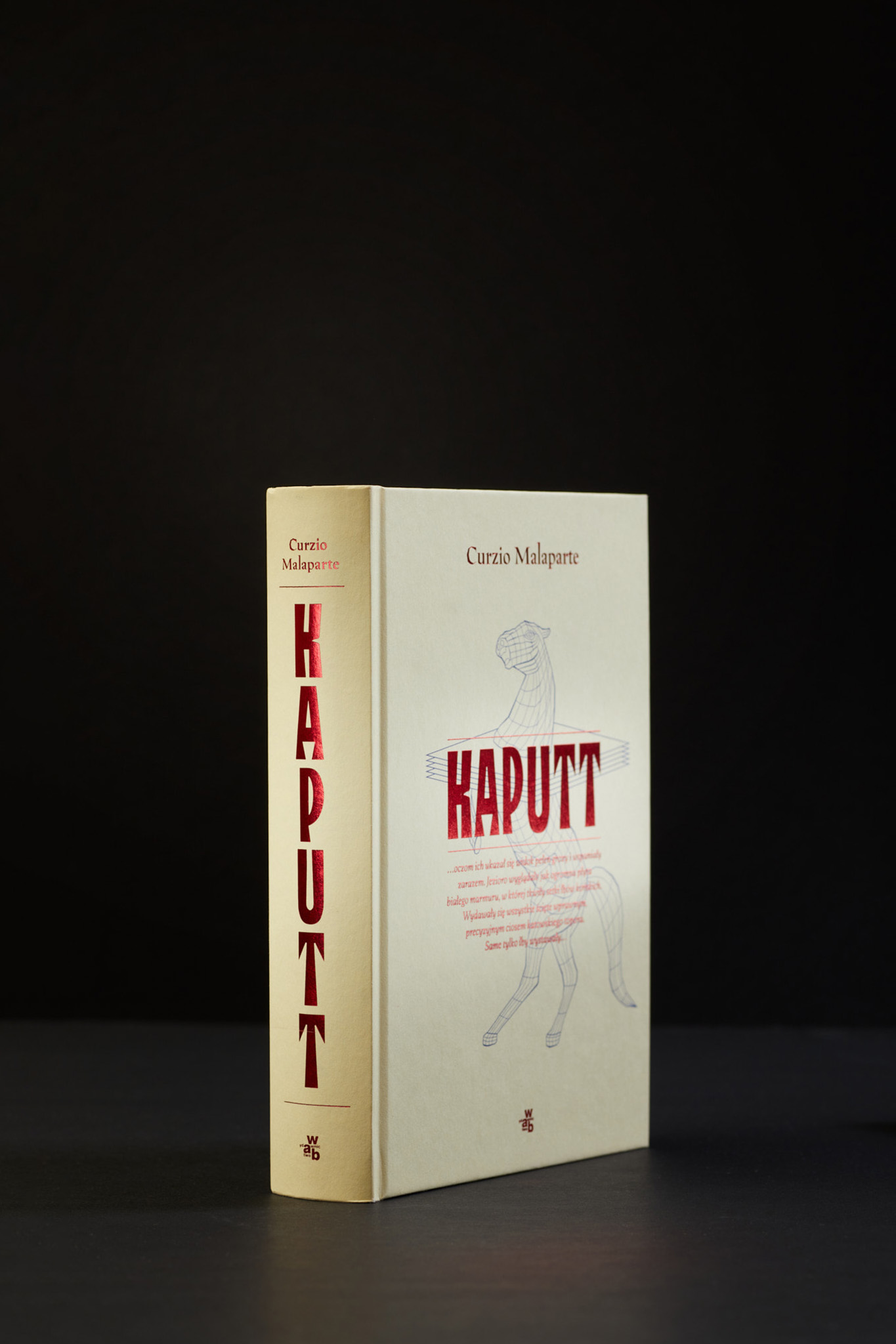 Kaputt_0125_fot.Basia_Budniak_mP