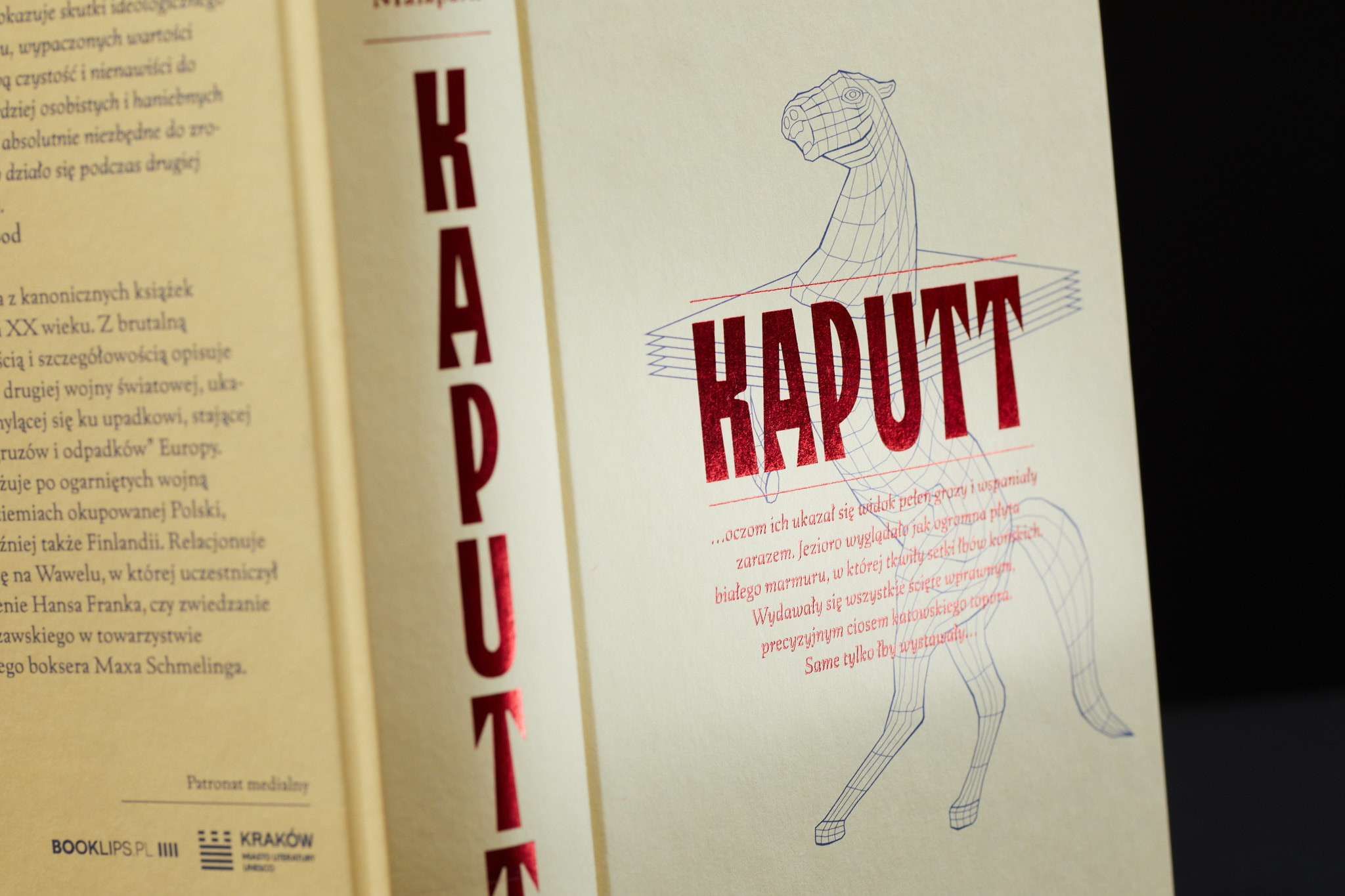 Kaputt_0131_fot.Basia_Budniak_m‑1