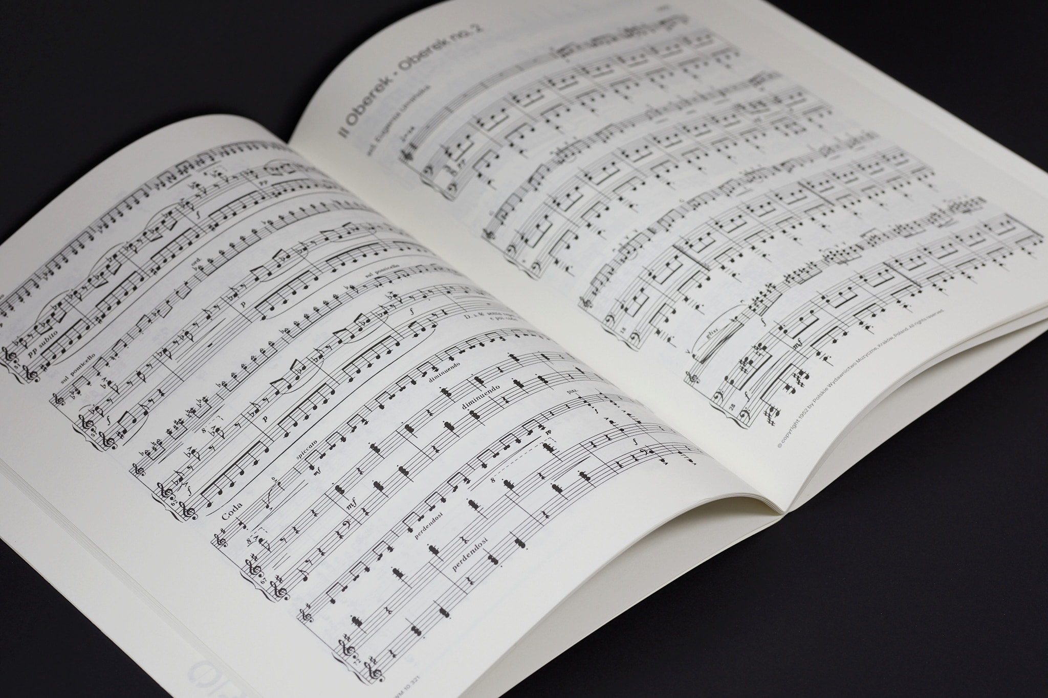 NAJ_PWM_m__54A0969_050‑2