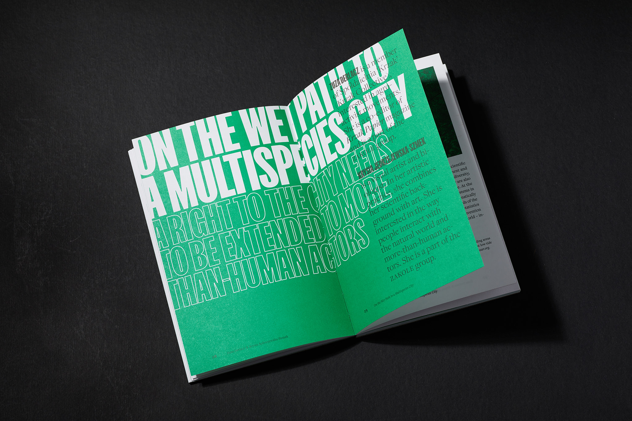 Our-city_Tessera.org_BBudniak_54A7316‑2