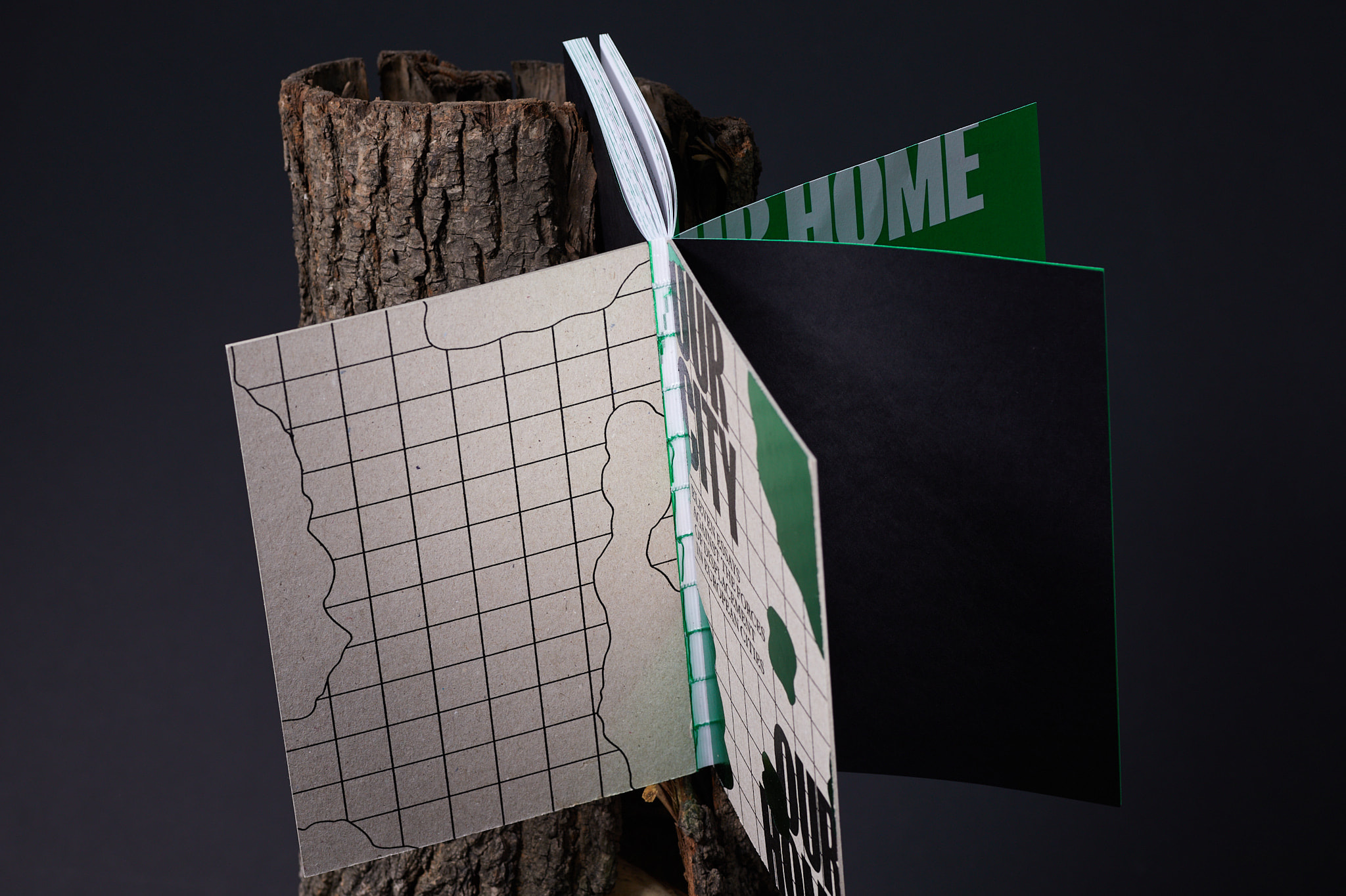 Our_city_fot.BBudniak_fot.BBudniak__54A4789‑2