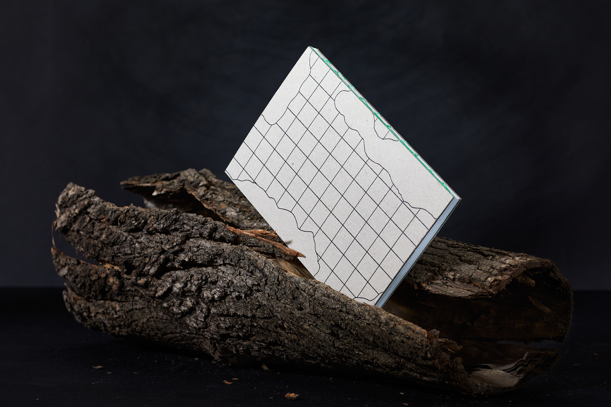 Our_city_fot.BBudniak_fot.BBudniak__54A4849‑2