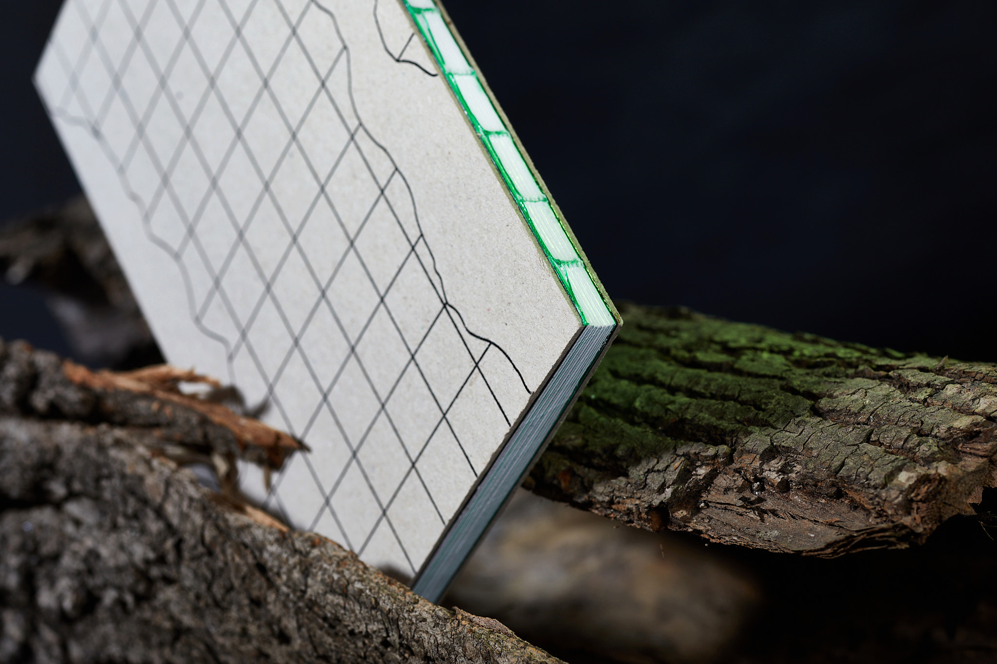 Our_city_fot.BBudniak_fot.BBudniak__54A4862‑2