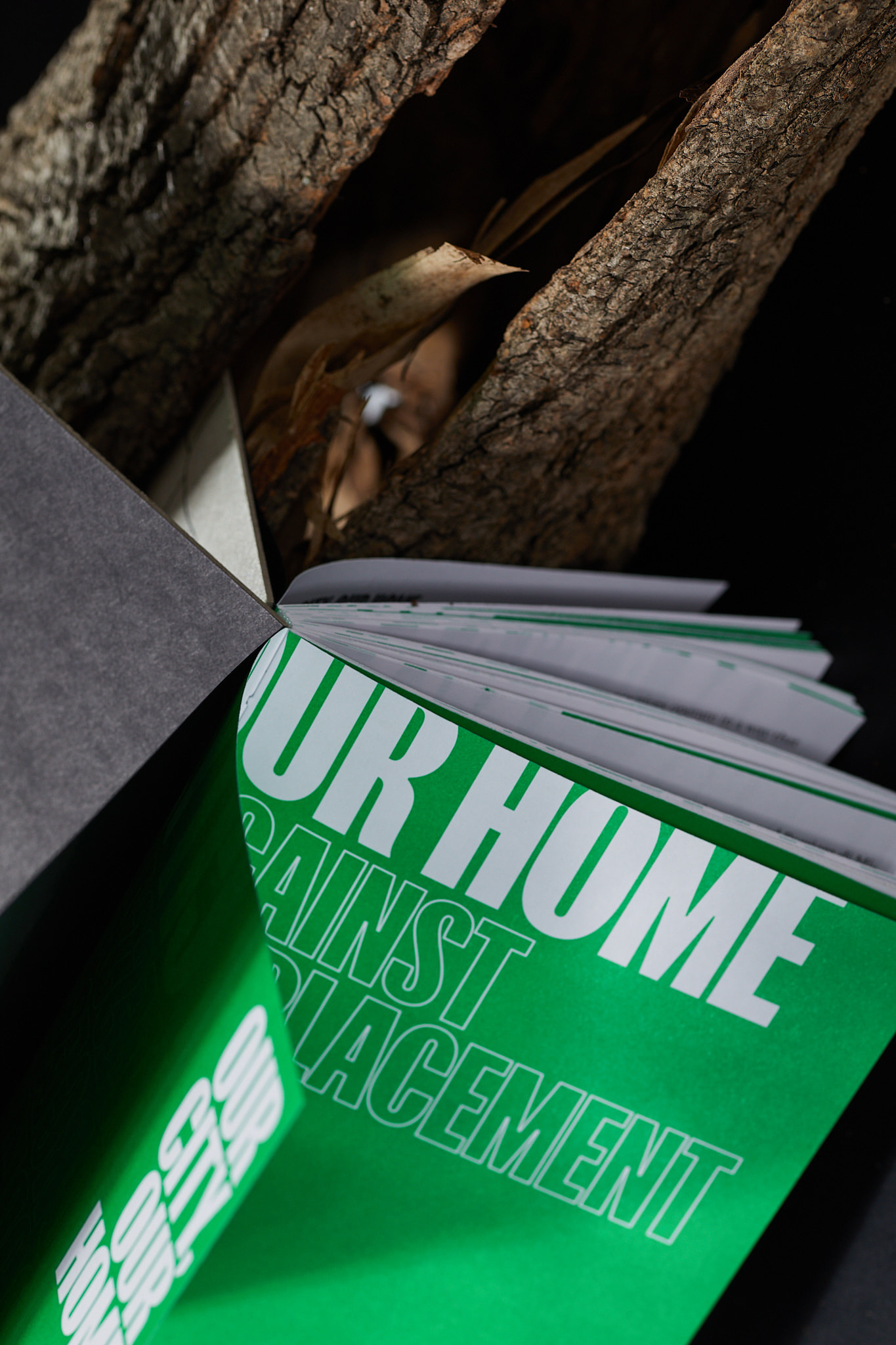 Our_city_fot.BBudniak_fot.BBudniak__54A7058‑3