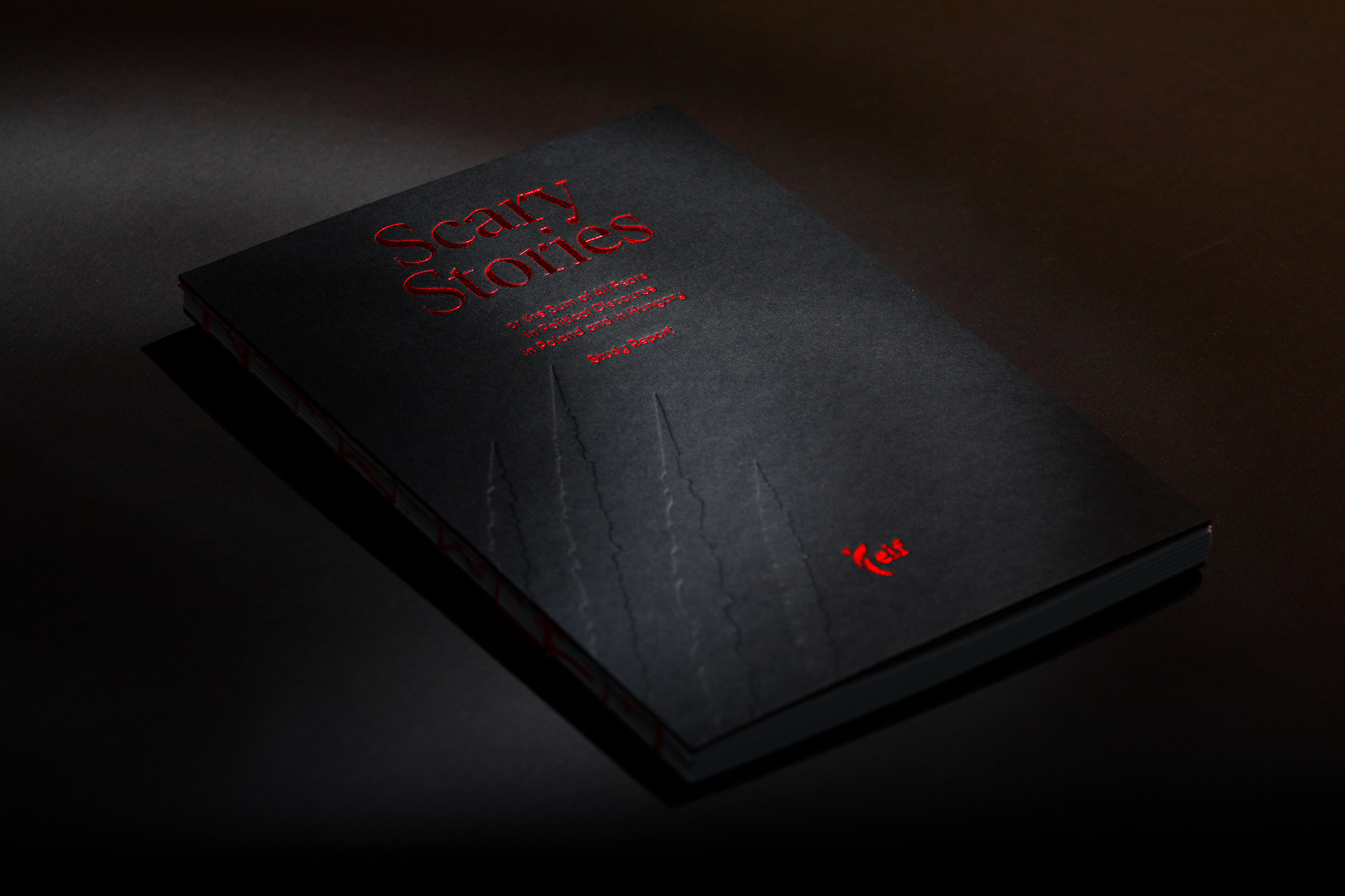 Scary_stories_typo-MarcinHernas_fotBasia_BudniakSCARY-Stories0546m