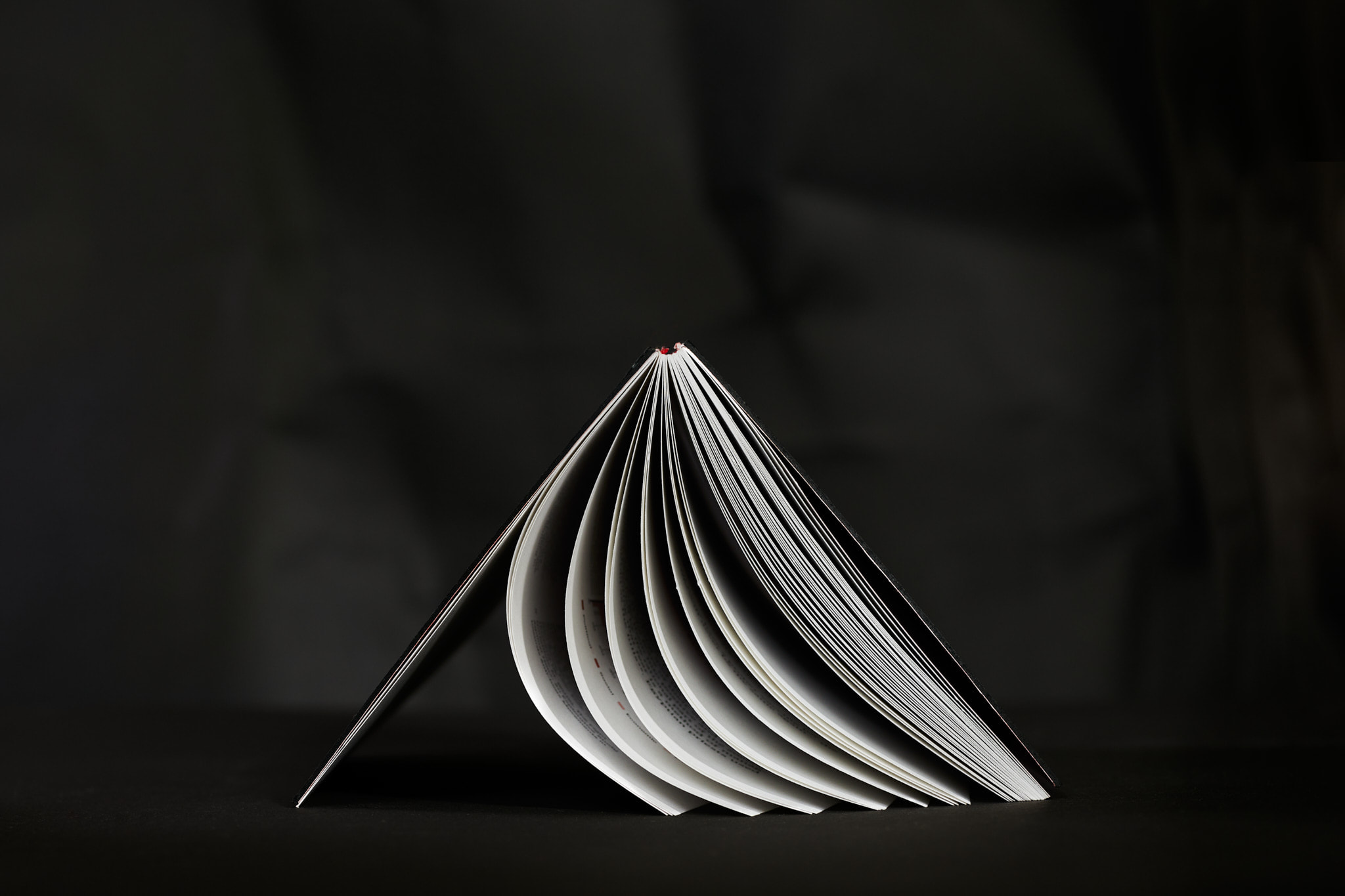 Scary_stories_typo-MarcinHernas_fotBasia_BudniakSCARY-Stories0646m