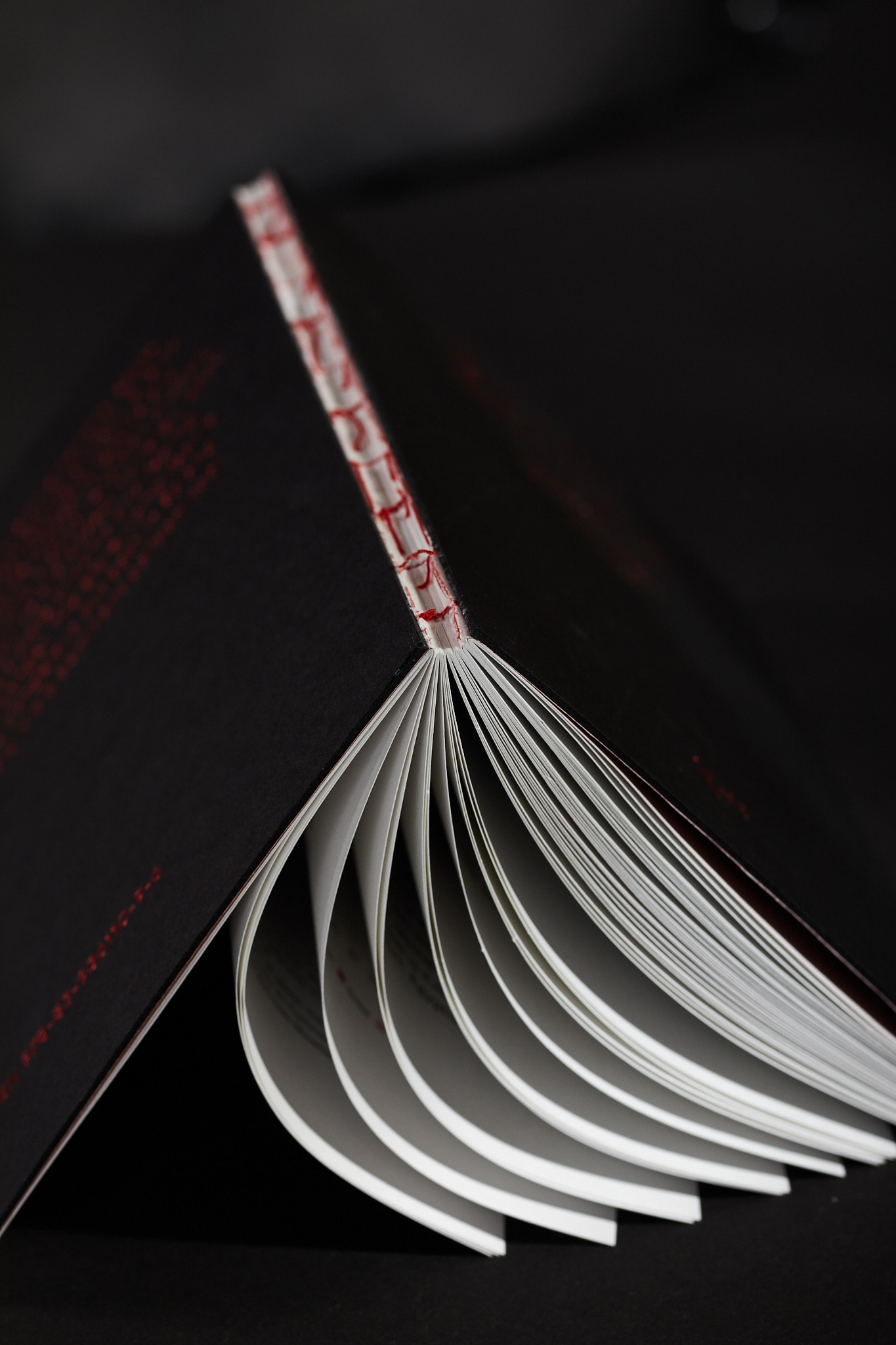 Scary_stories_typo-MarcinHernas_fotBasia_BudniakSCARY-Stories0660m