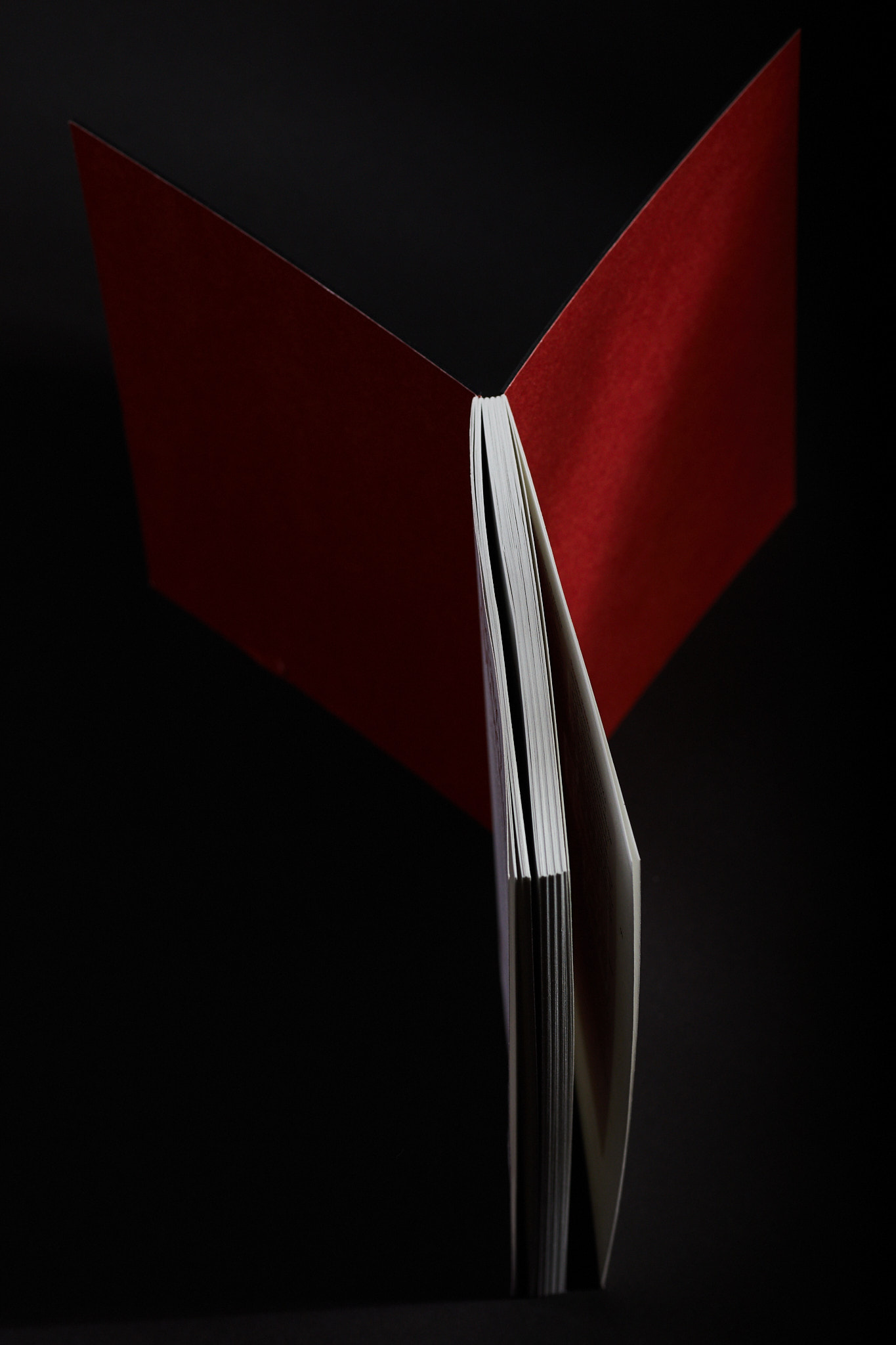 Scary_stories_typo-MarcinHernas_fotBasia_BudniakSCARY-Stories0719m