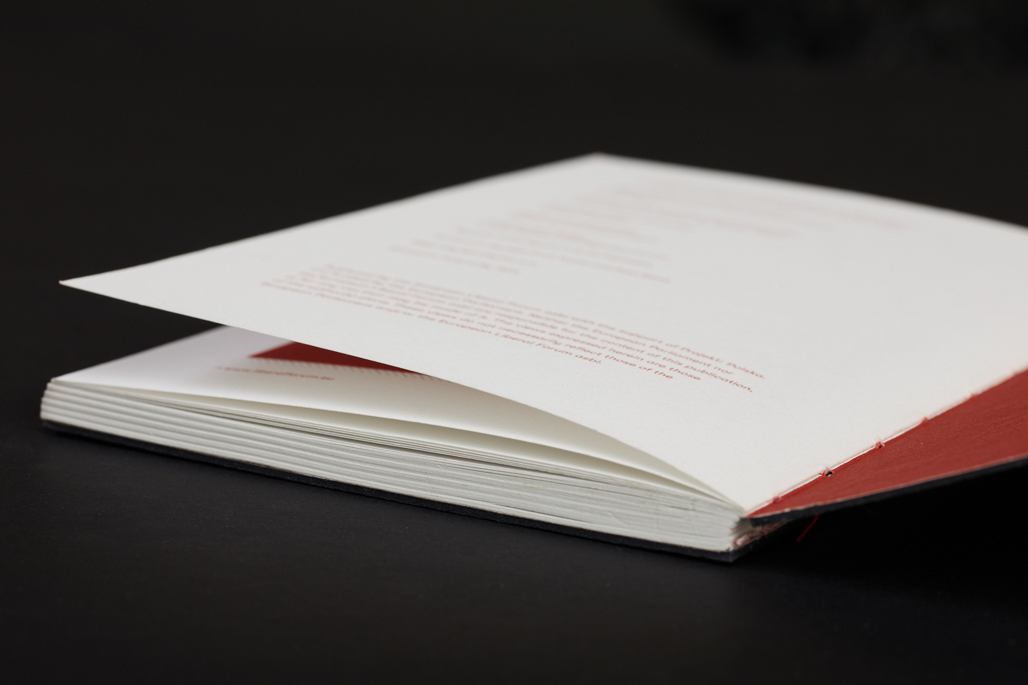 Scary_stories_typo-MarcinHernas_fotBasia_BudniakSCARY-Stories_1306m