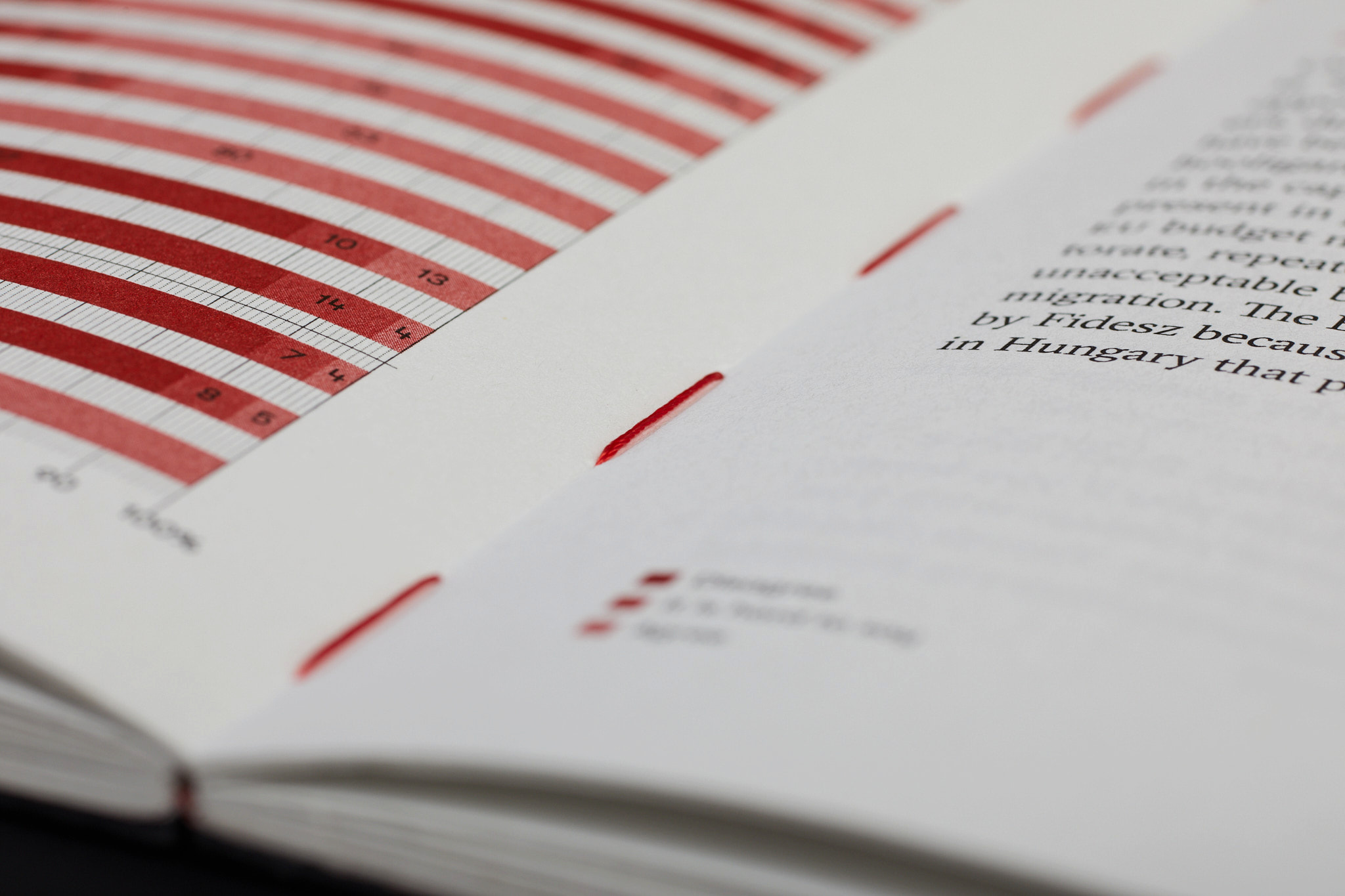 Scary_stories_typo-MarcinHernas_fotBasia_BudniakSCARY-Stories_1311m