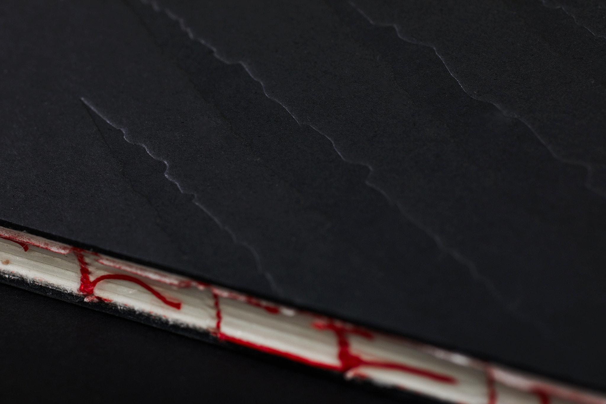 Scary_stories_typo-MarcinHernas_fotBasia_BudniakSCARY-Stories_1320m