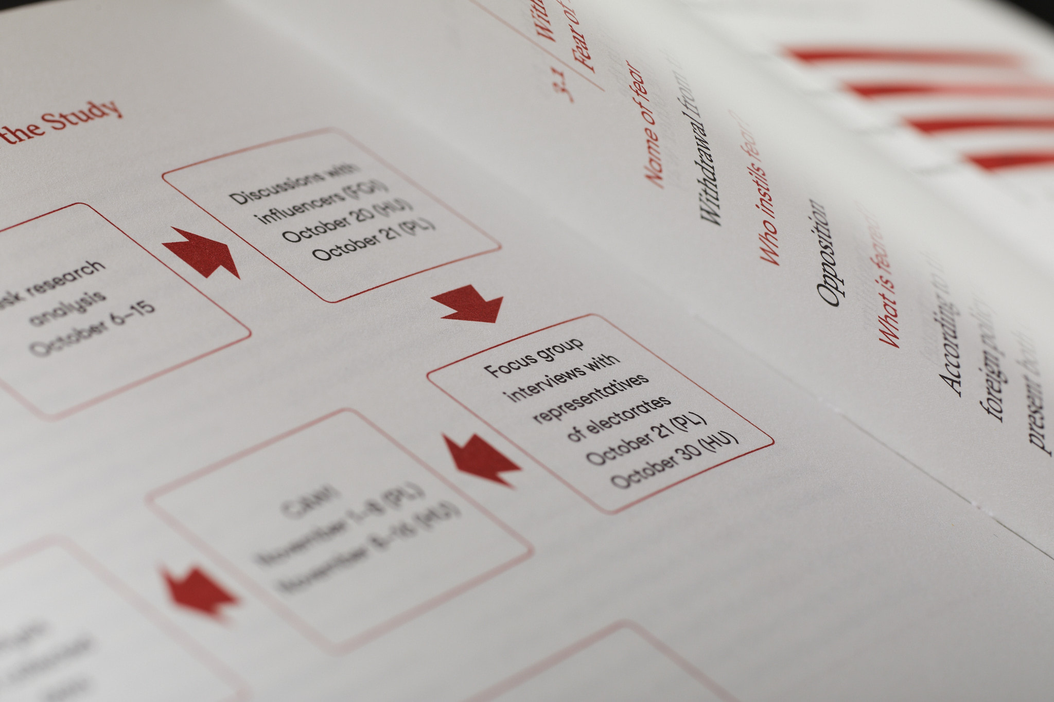 Scary_stories_typo-MarcinHernas_fotBasia_BudniakSCARY-Stories_1334m