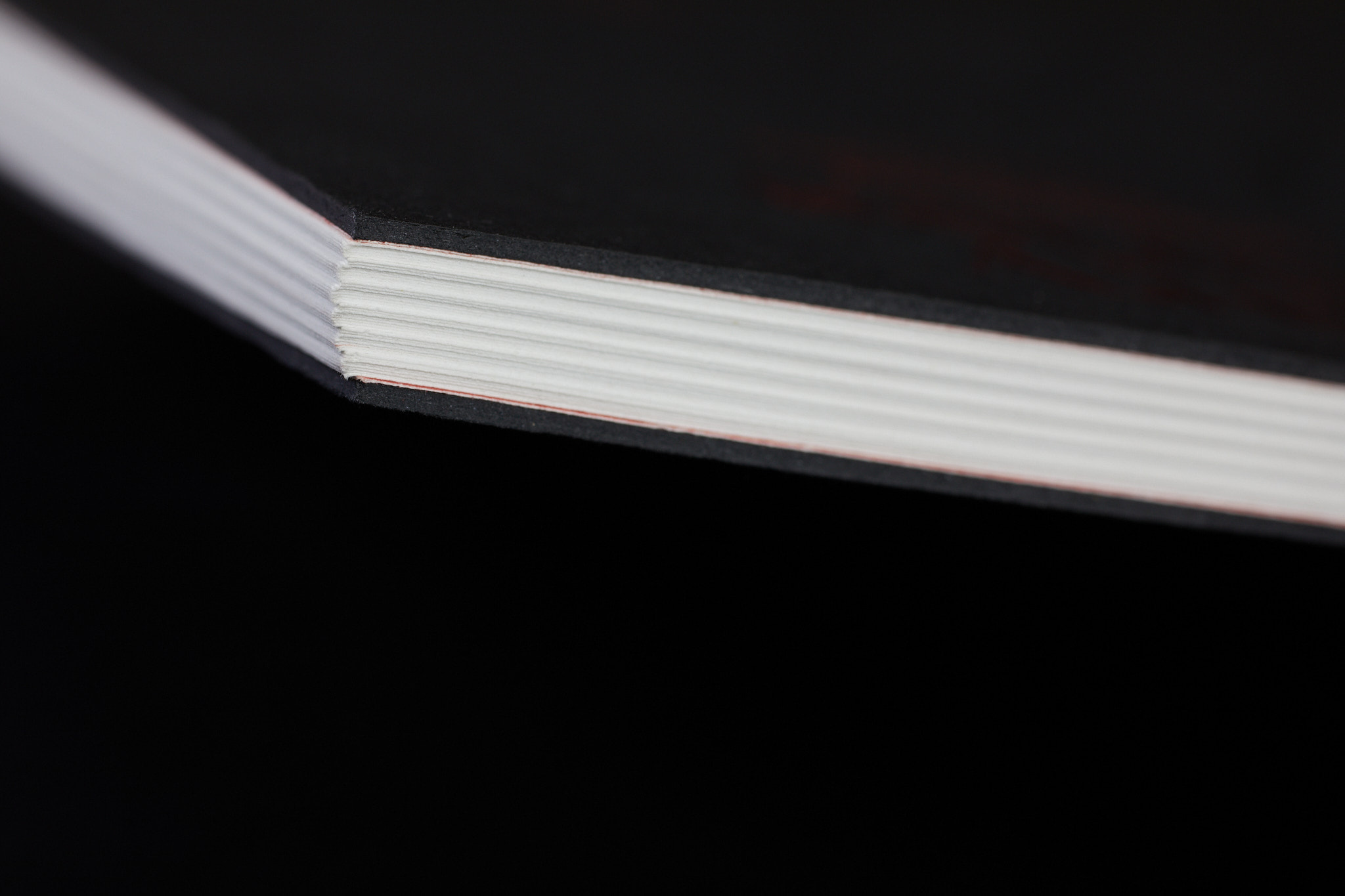 Scary_stories_typo-MarcinHernas_fotBasia_BudniakSCARY-Stories_1342m