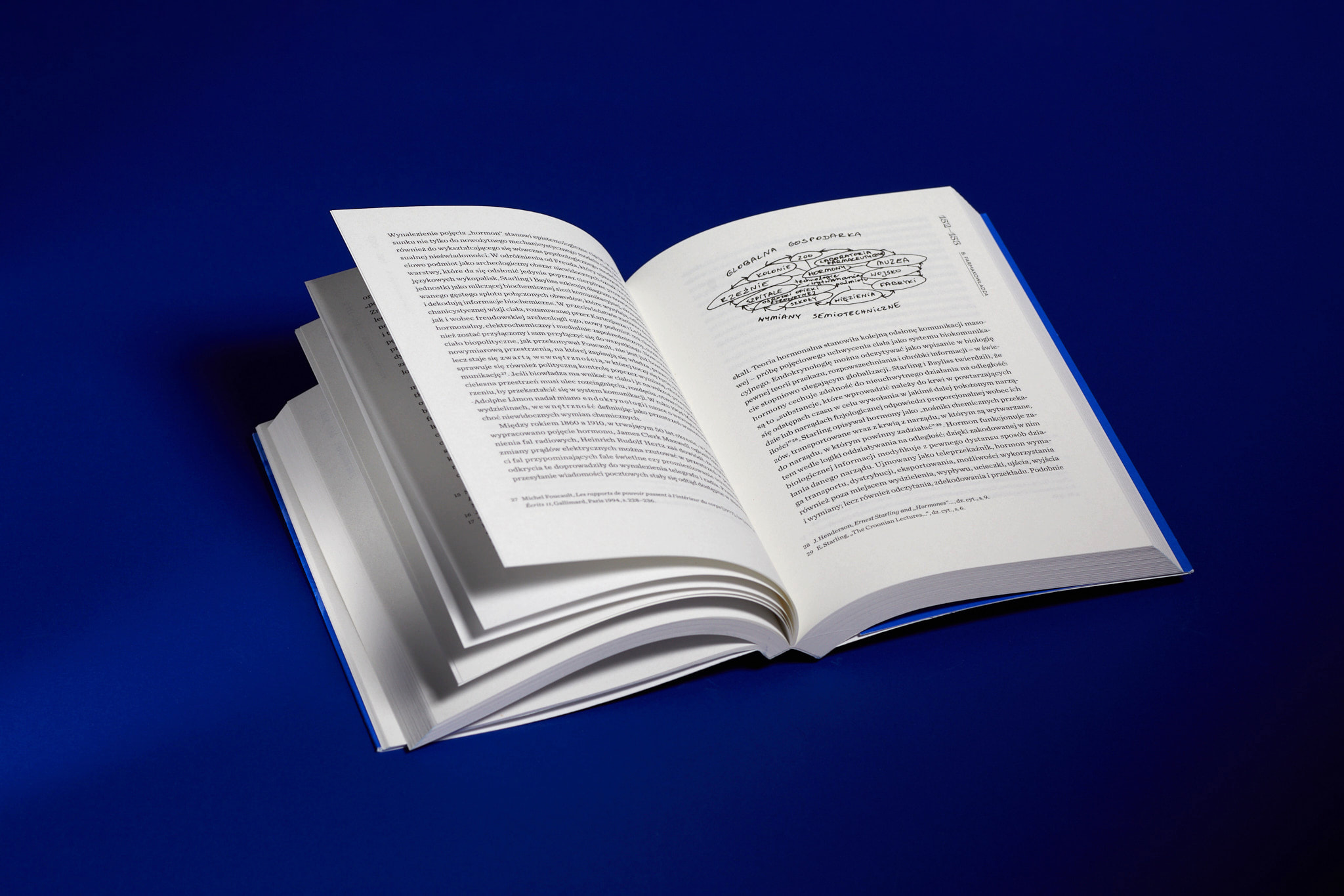 Testo_Cpun_1794_fot.Basia_Budniak‑2