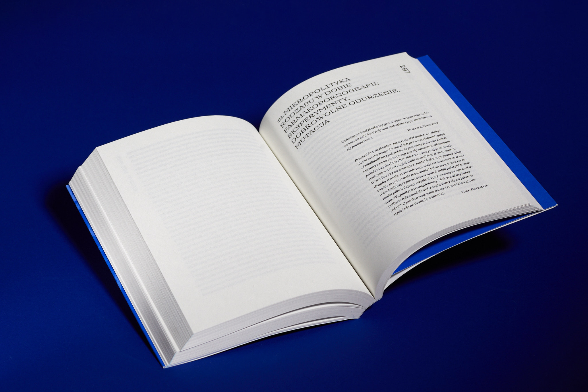 Testo_Cpun_1795_fot.Basia_Budniak‑2