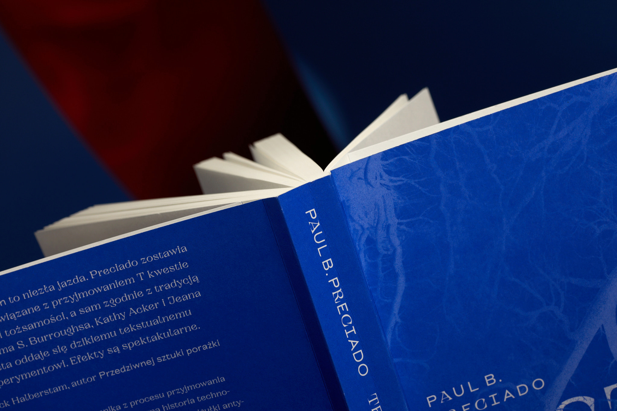 Testo_Cpun_1816_fot.Basia_Budniak‑1