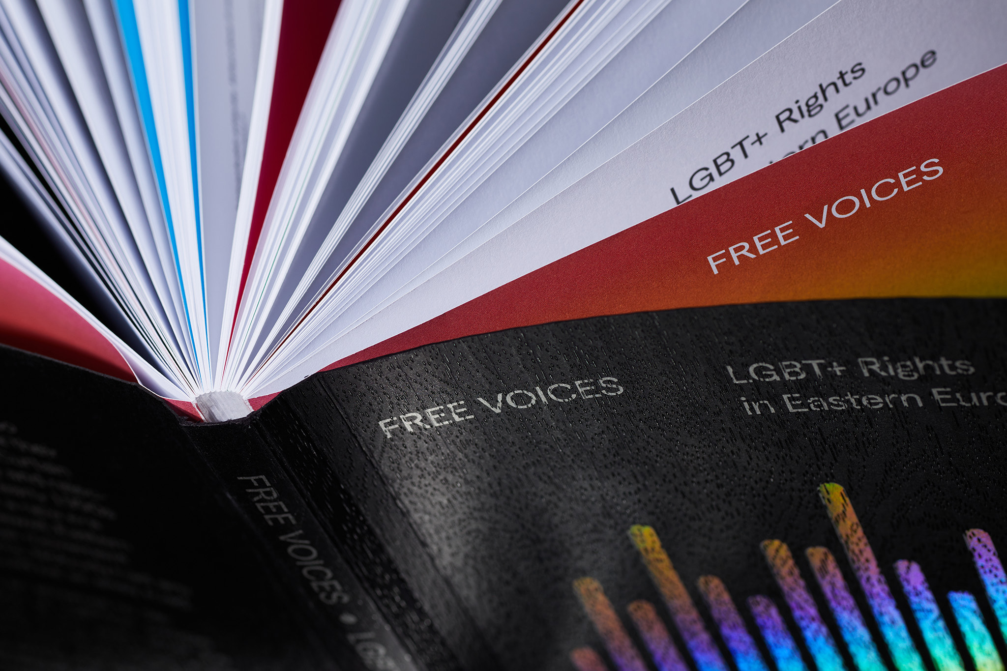 Free-voices-LGBT_Designe_Typo_MHernas_FotBBudniak__54A7472